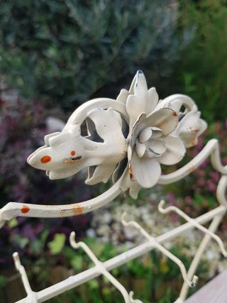 Antiguo expositor de joyas