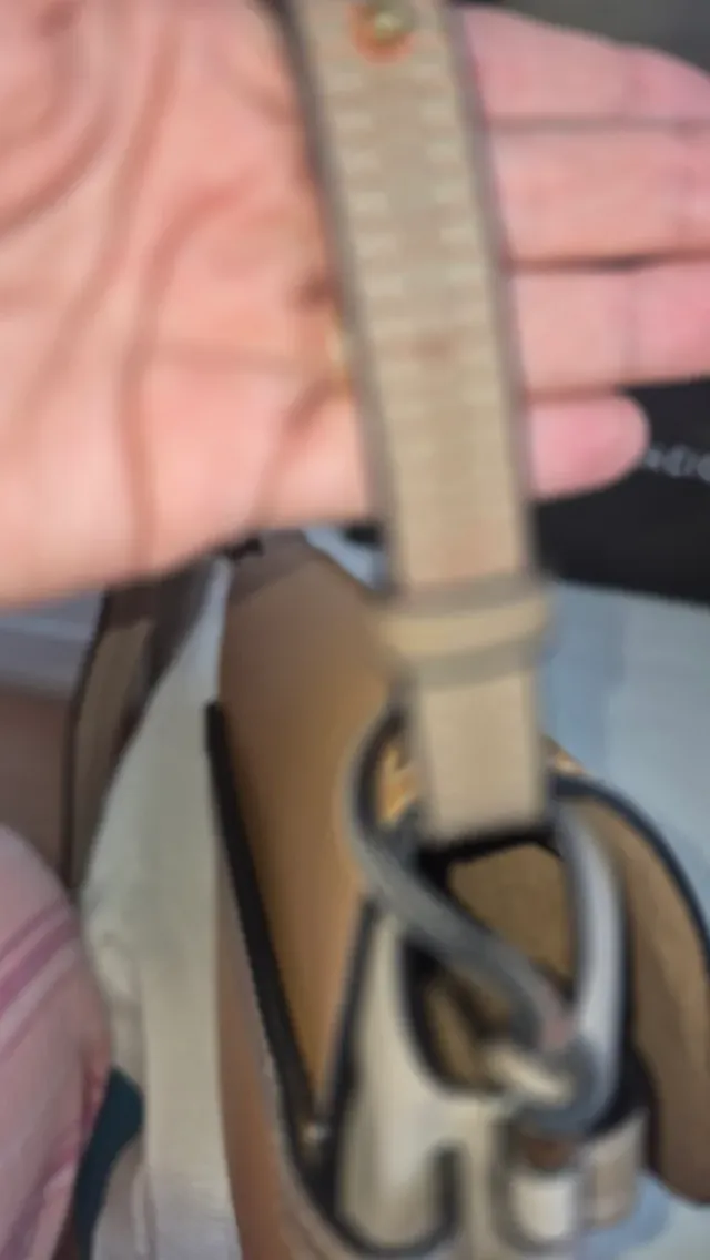 Bolso Loewe Gate Beige y Gris