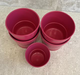 Set 5 Maceteros Cubre-Maceta Rosas Plástico