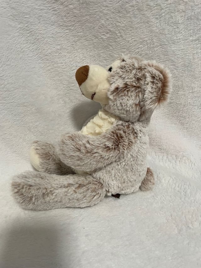 Osito de peluche Famosa