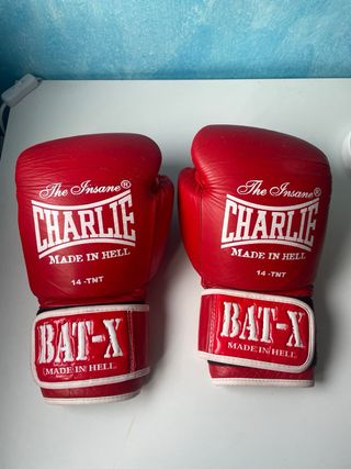 Guantes de Boxeo Charlie The Insane Bat-X