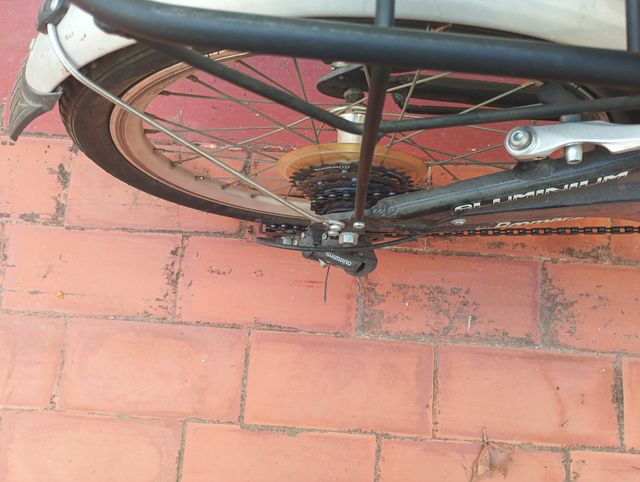 Bicicleta plegable con marchas