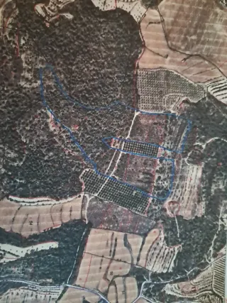 Terreno rústico en Almatret