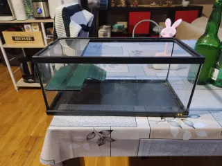 Tortuguera con rampa.