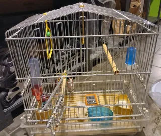 Jaula grande para pájaros