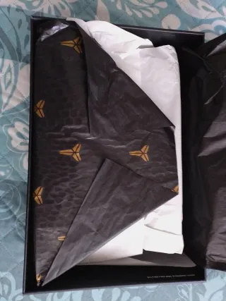 Nike Kobe 9 Elite Low Protro (2025).