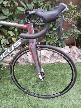 Bicicleta Carretera Focus Cayo talla M