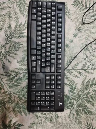 Teclado Logitech K120 Negro