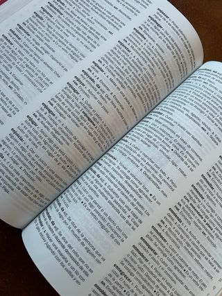 DICCIONARIO ESCOLAR DE LA LENGUA ESPAÑOLA...