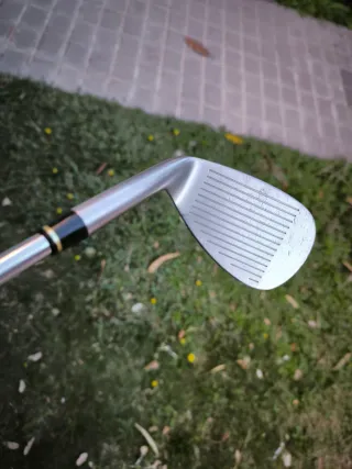 Sand Wilson Staff  56,10°