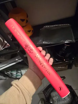 Harry Potter y la piedra filosofal (20 Aniv. Gr...