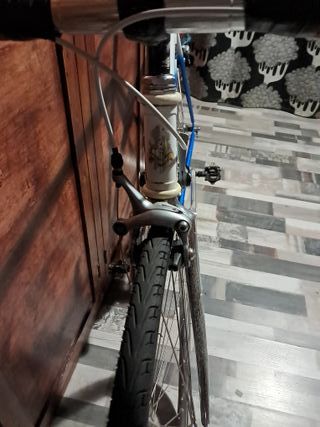 Bicicleta Carretera Vintage macario