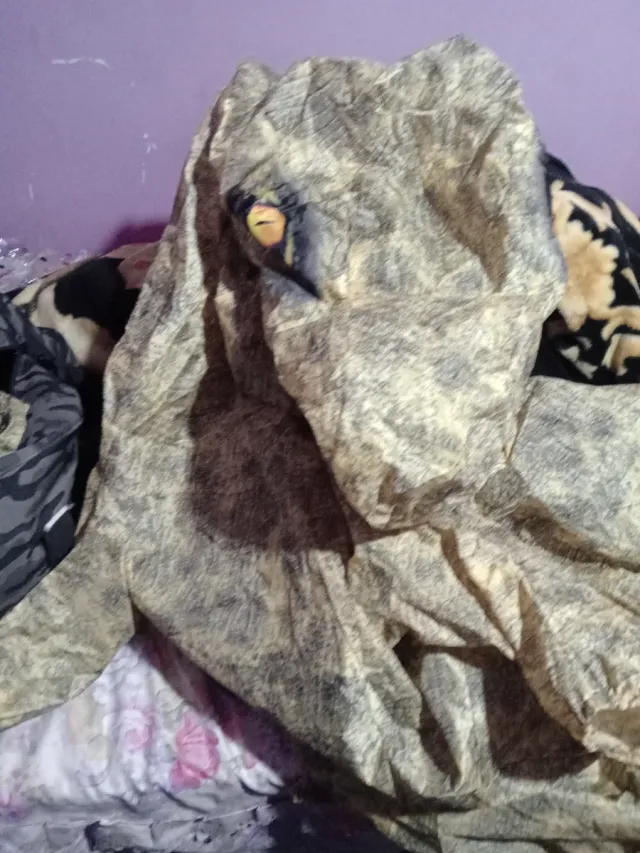 Disfraz Dinosaurio T-Rex Infantil