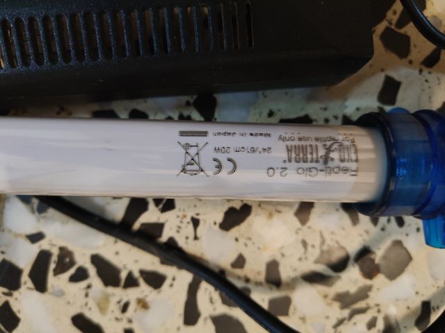 Lámpara Fluorescente Philips para Terrario