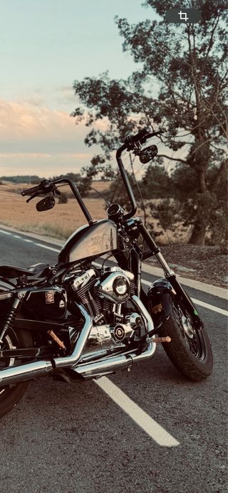 Manillar y cableado cuelgamonos 18”