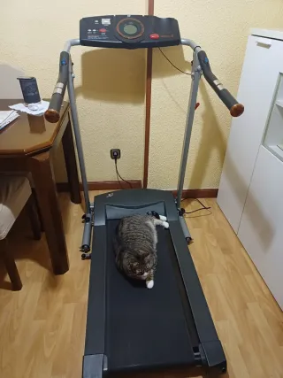 Cinta de correr eléctrica