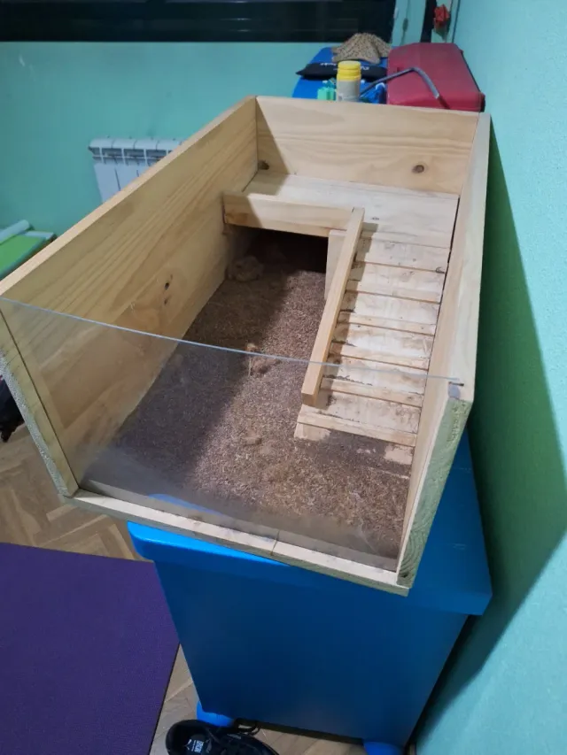 Terrario con cueva y rampa