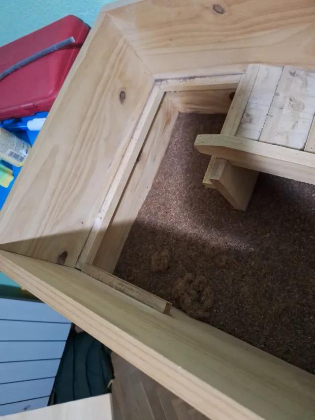 Terrario con cueva y rampa