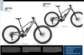 eBIKE OLYMPIA HEKTON AVINOX MII