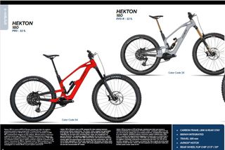 eBIKE OLYMPIA HEKTON AVINOX MII