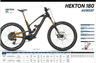 eBIKE OLYMPIA HEKTON AVINOX MII