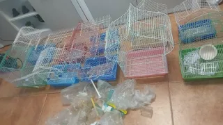 Se venden jaulas a 4€ cada una