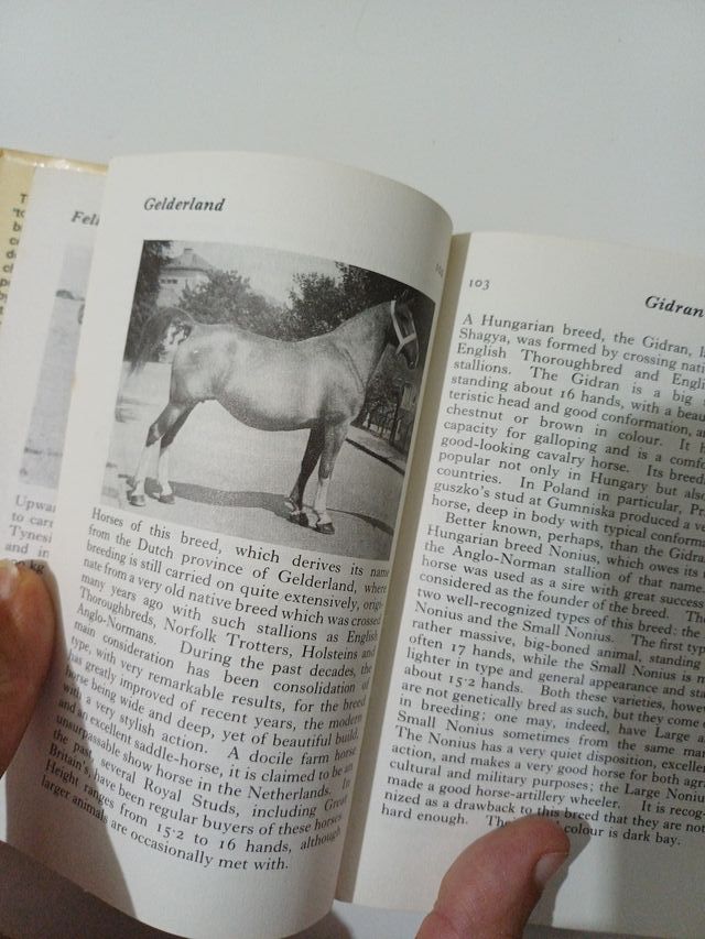 The Observer's Book of Horses and Ponies