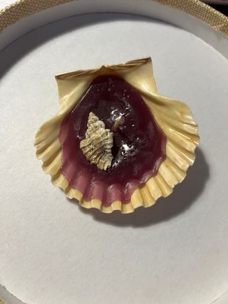 Vela Decorativa em Concha Roxa