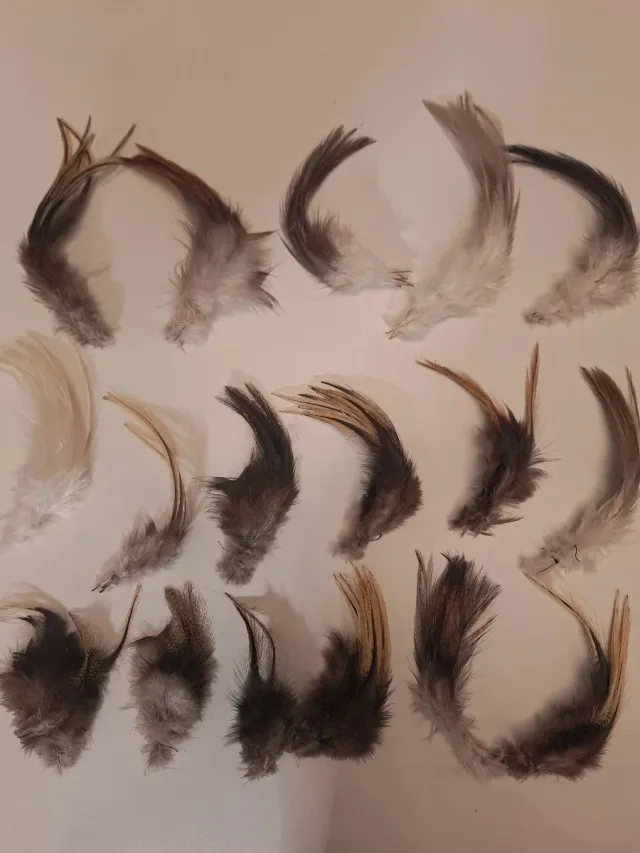 Colgaderas Gallo de León 16 mazos