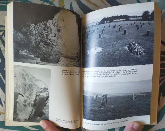 1* ed. El computador neolítico. Mario Zanot.