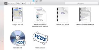 Diagnosis VAGCOM Profesional Grupo Vag Español