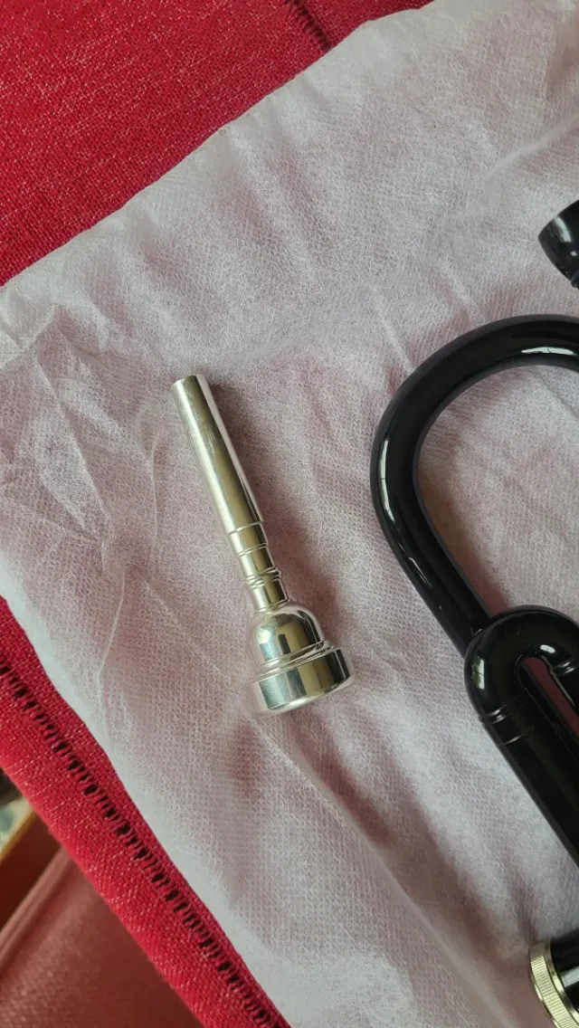 Trompeta negra brillante