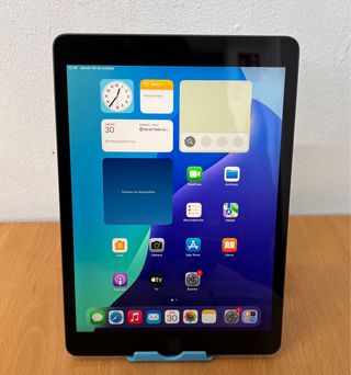iPad 9ª Gen 256GB WiFi Space Gray