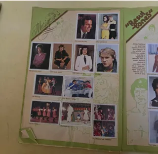 Lote 2 Álbumes Cromos: Festival Dibujo Animado y T