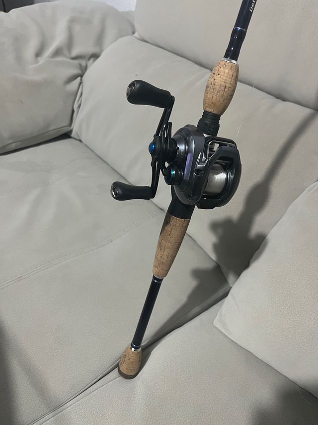 Caña y carrete de Casting