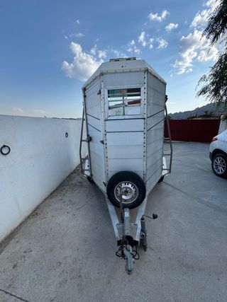 Van caballos matrícula roja