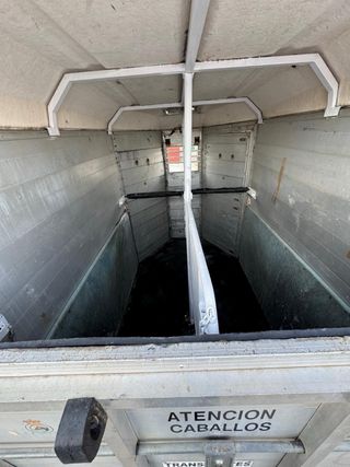 Van caballos matrícula roja