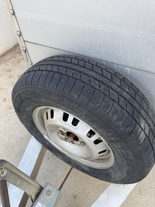 Van caballos matrícula roja