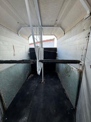 Van caballos matrícula roja