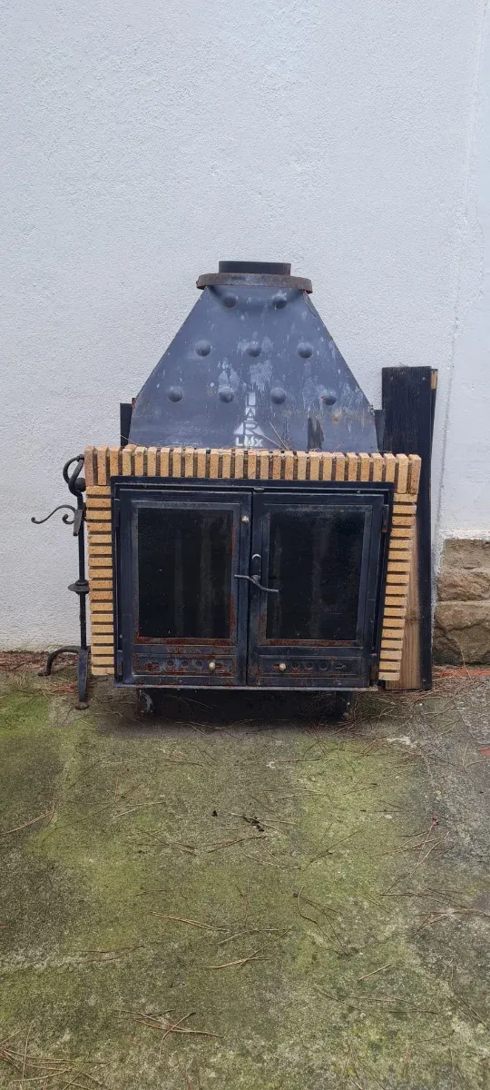 Chimenea de leña con puertas de cristal.