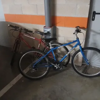 2 Bicicletas Trotter y Rockrider