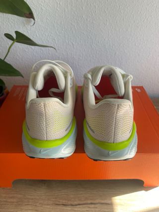 Nike Air Zoom Pegasus 41 