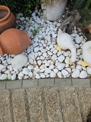 Cantos rodados blancos