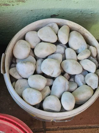 Cantos rodados blancos