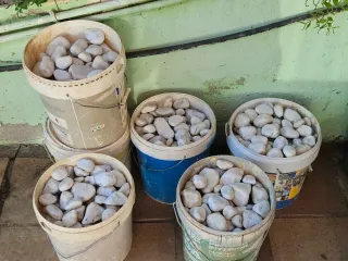 Cantos rodados blancos