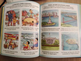 4 libros diccionarios por imágenes