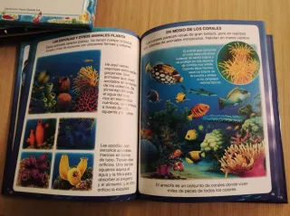 4 libros diccionarios por imágenes