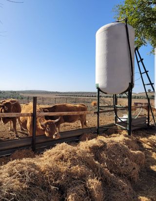 Instalación depósitos de agua