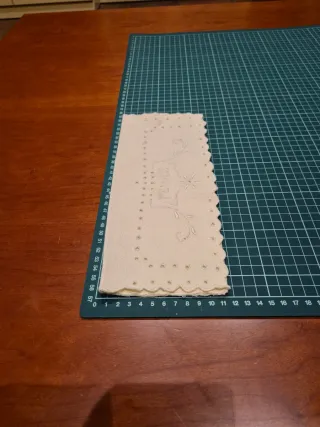 Guardapeines bordado con PEINES