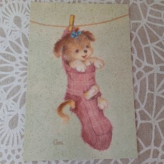 Lote 4 postales perritos Coni (costanza)